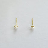 14K Bloom Pearl Studs