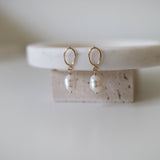 Gold Filled Celina Pearl Earrings