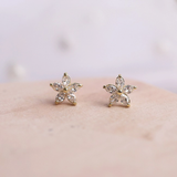 14K Sparkle Fiore Earrings