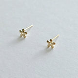 14K Golden Daisy Studs