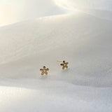 14K Golden Daisy Studs