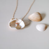 Gold Filled Maris Shell & Pearl Necklace